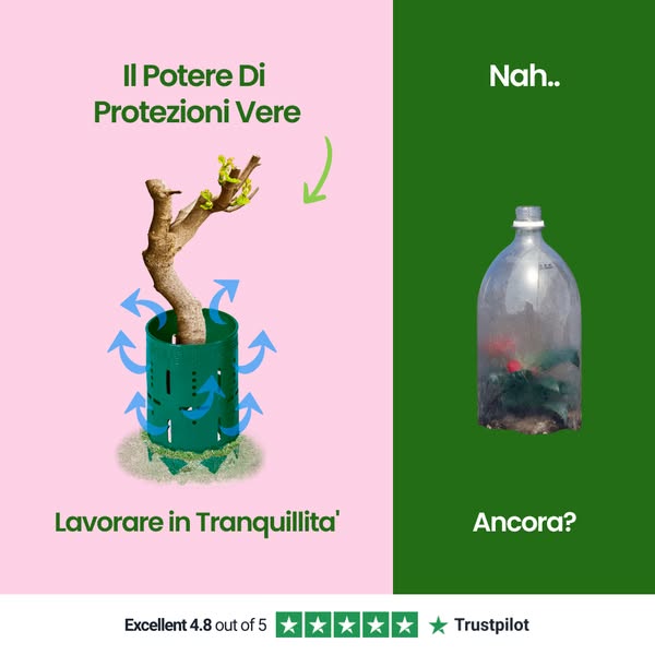Le bottiglie/il corrugato costano meno e bastano