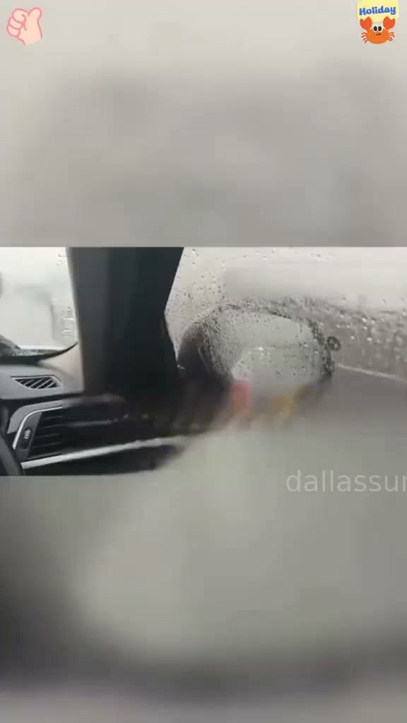 Anúncio de DallasSunny Shop