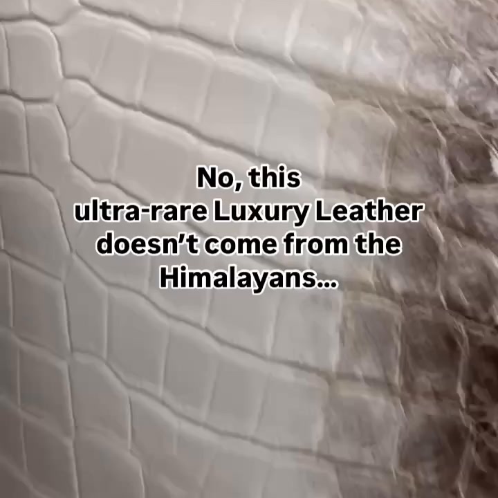 Sunny Exotic Leather Tannery