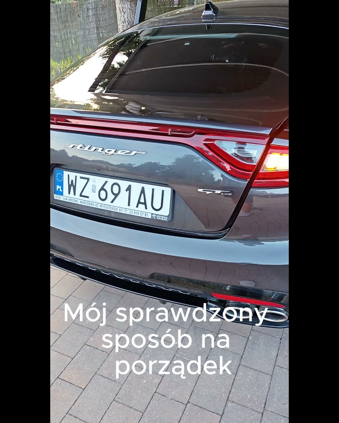 Organizer samochodowy premium