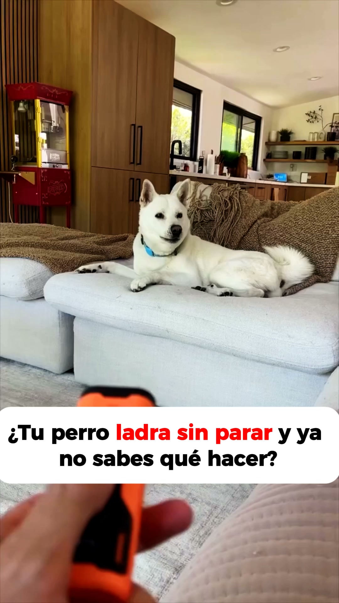 Envío gratis · Garantía 100 días