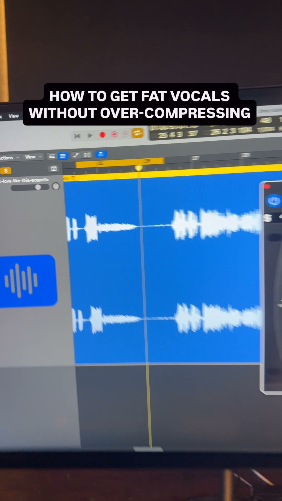 Fat Vocals, Zero Squash