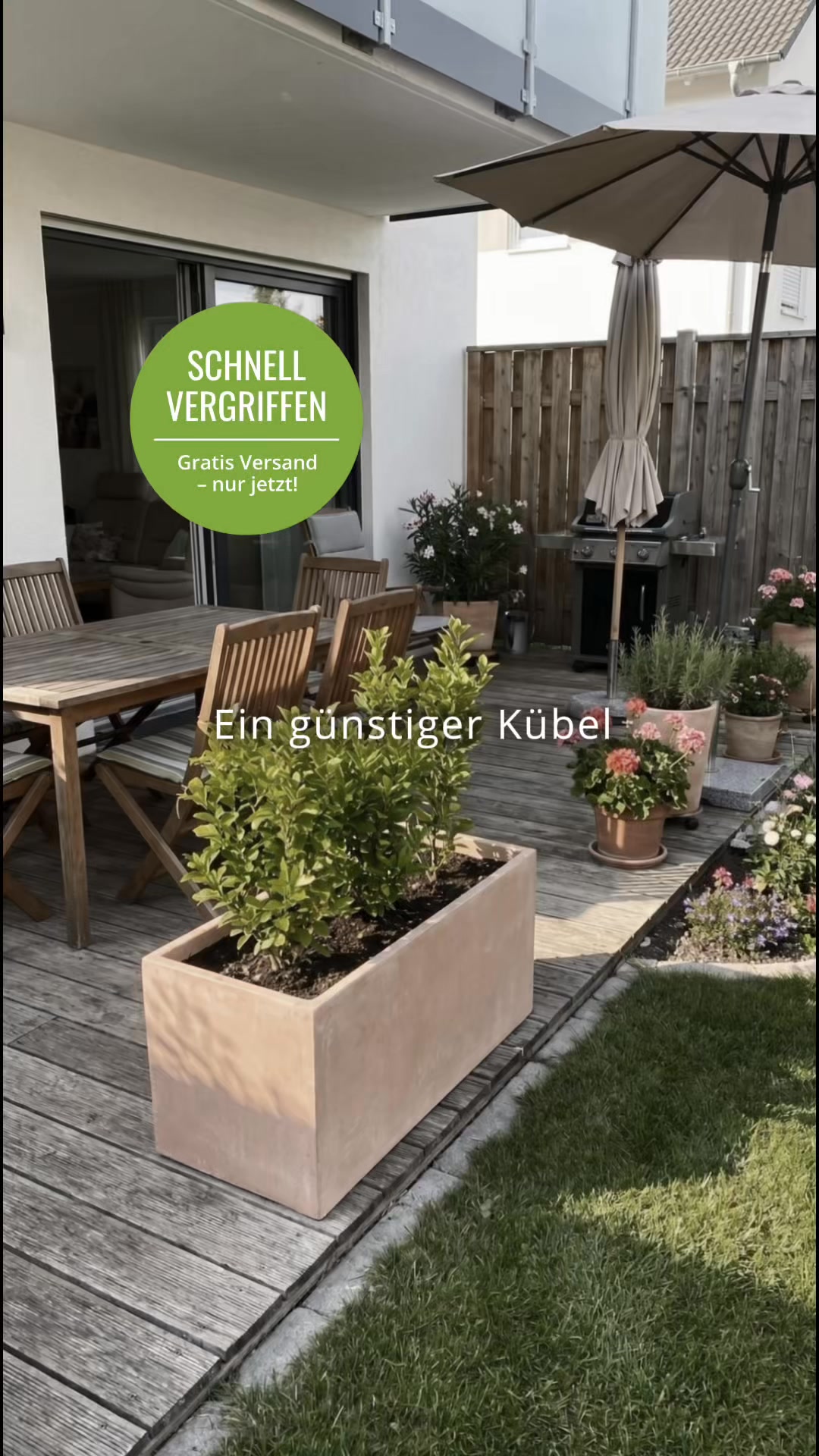 Baumarkt vs. Pflanzwerk
