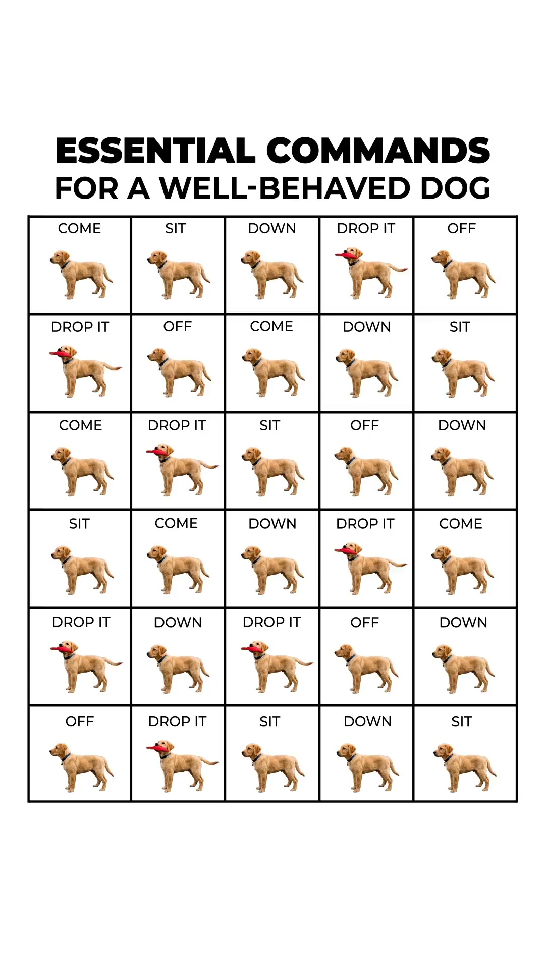 Professional Dog Training Made Simple