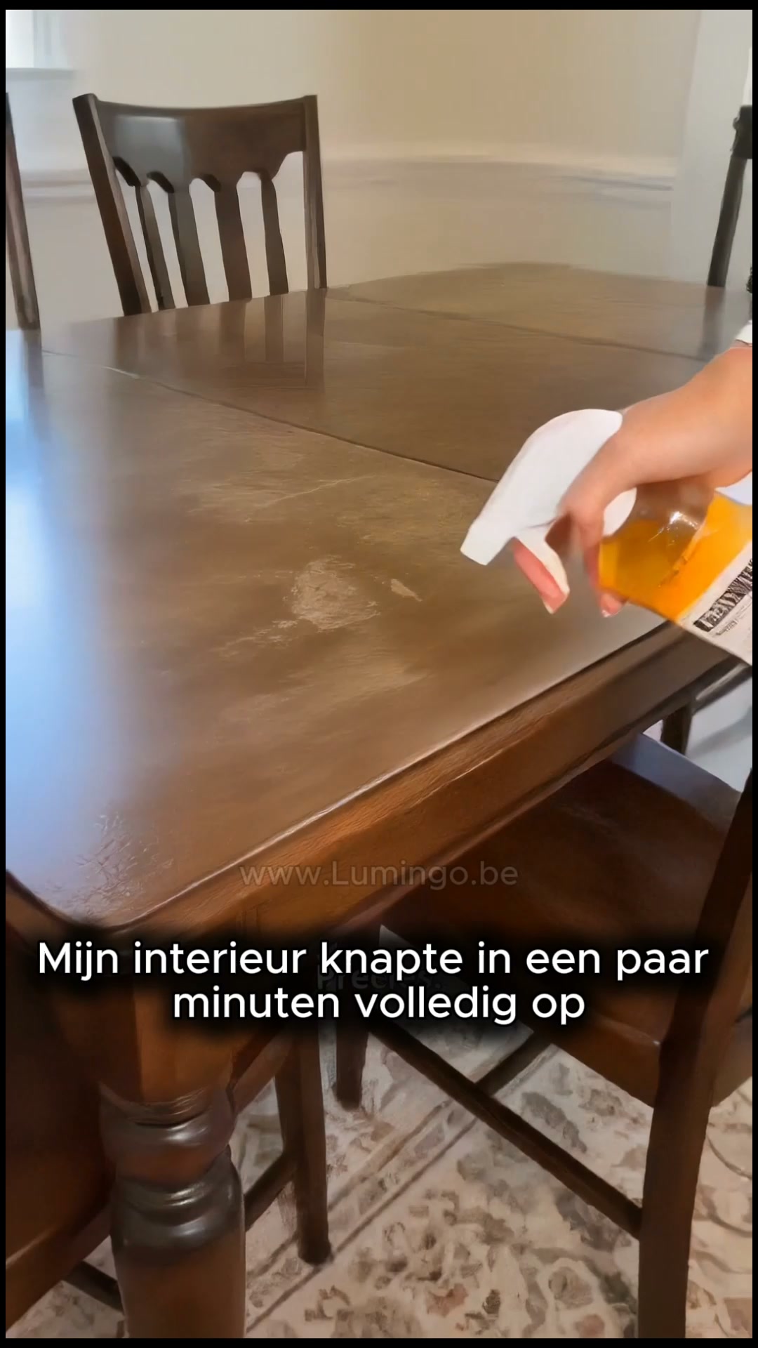 Veelgekozen houtverzorging