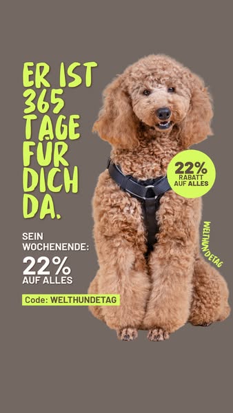 22% Rabatt auf ALLES