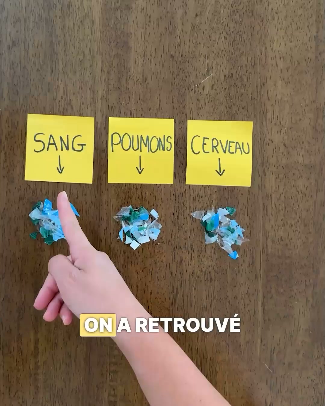 Noté 5 par plus de 15 000 avis