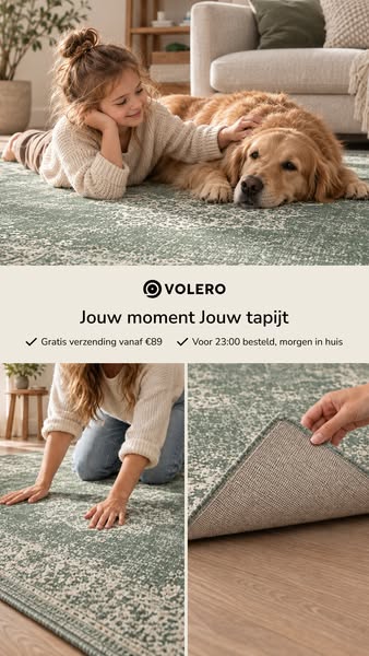 De Tapijtspecialist