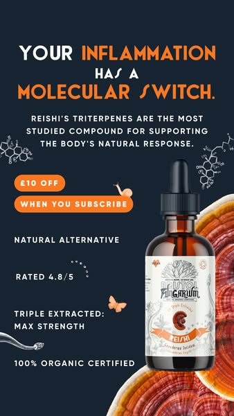 Triple Extracted For Better Bioavailability