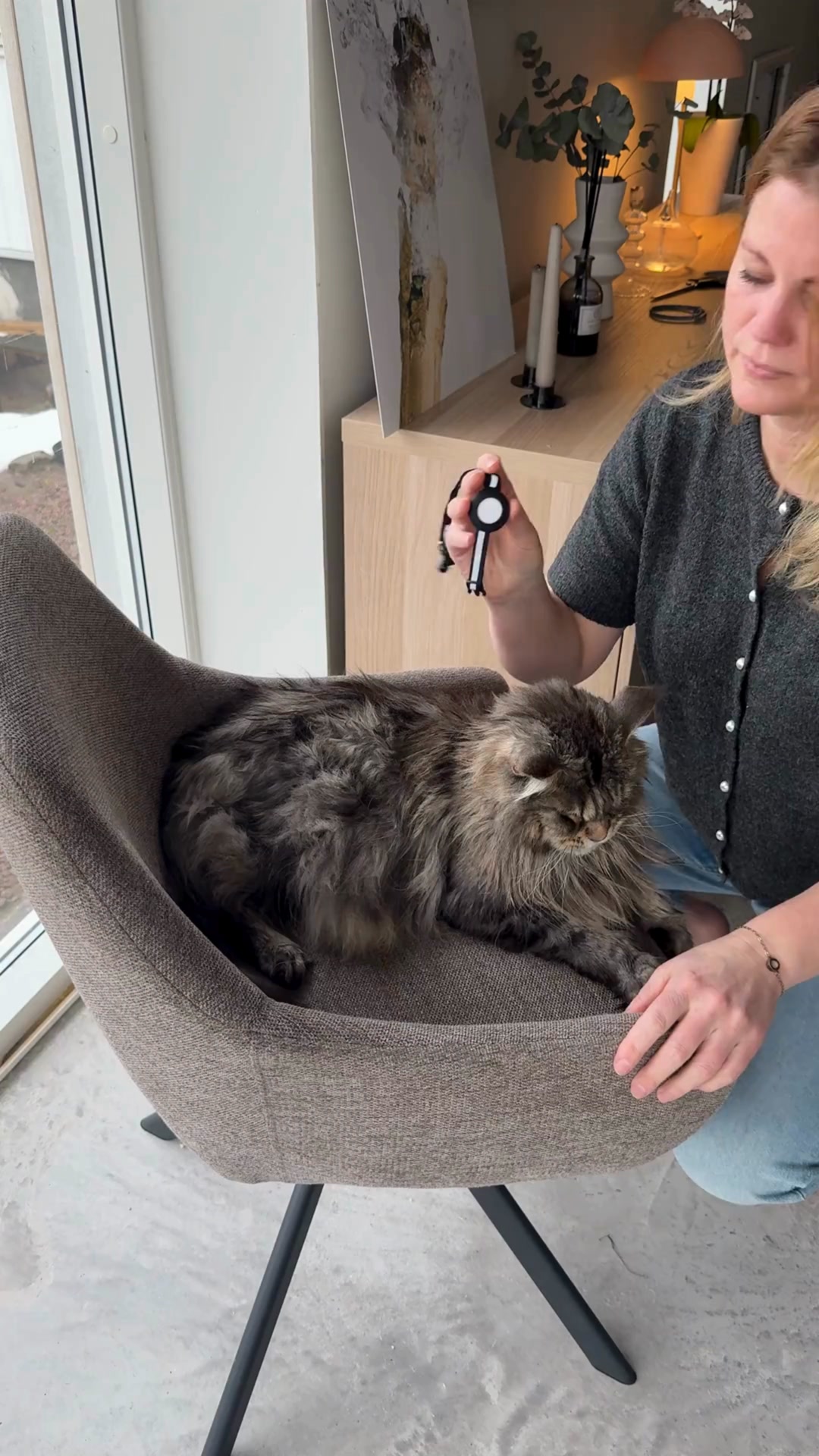 Spåra din katt – utan abonnemang