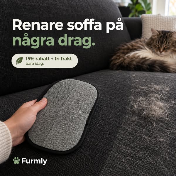 Älskar katten. Inte katthåret.