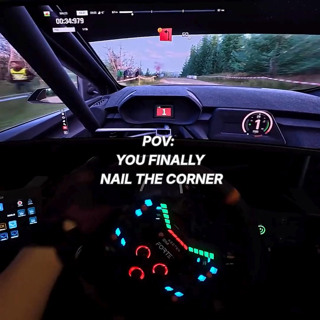 This Is Rally Racing