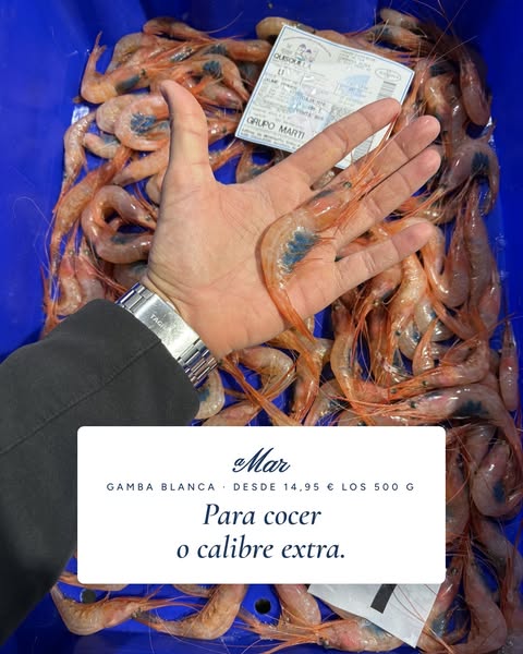 Gamba blanca desde 14,95 €