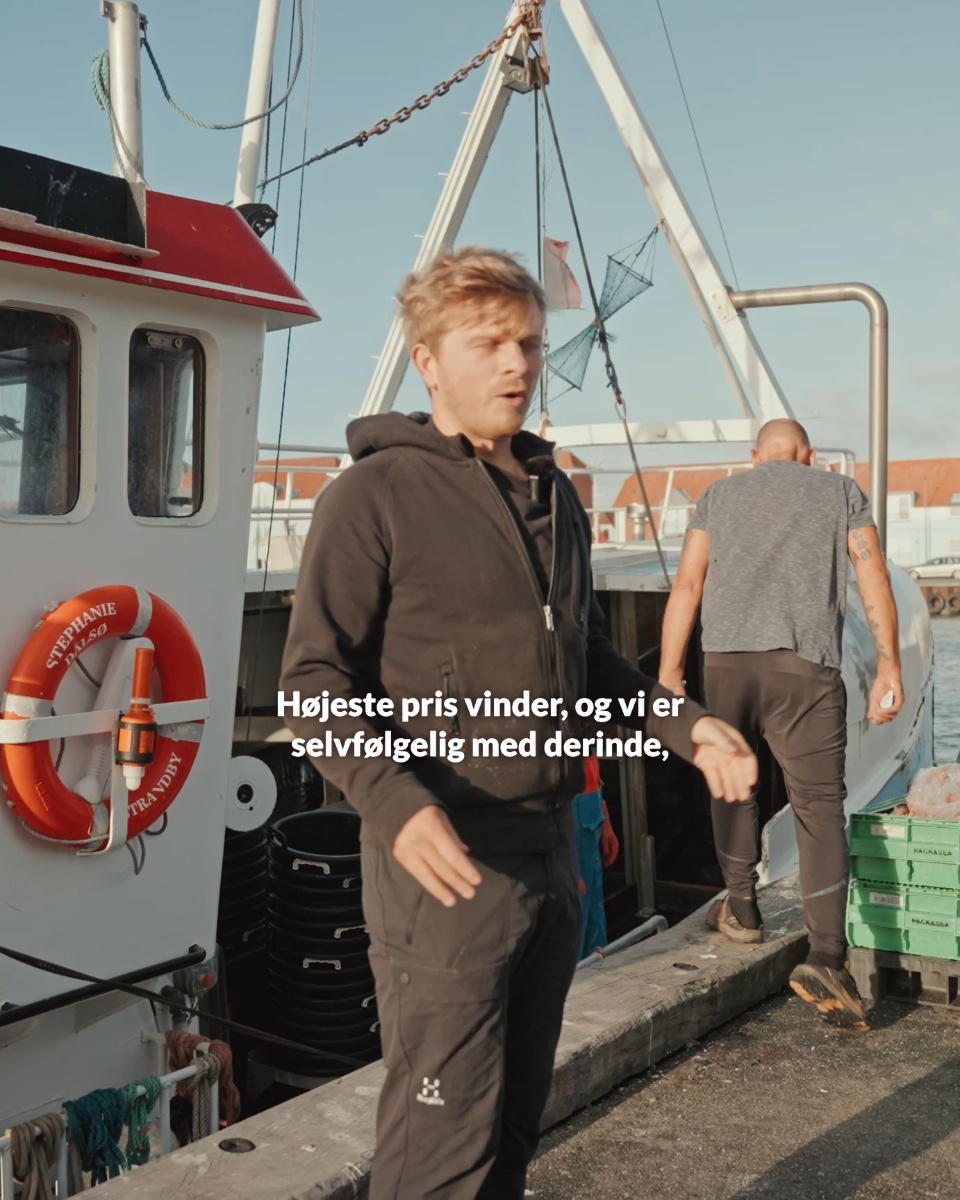 Bestil havfriske jomfruhummere