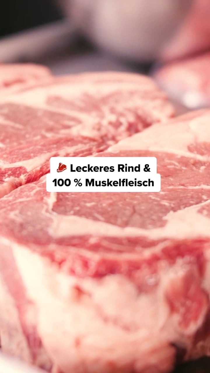 Jetzt 40% Test-Rabatt sichern