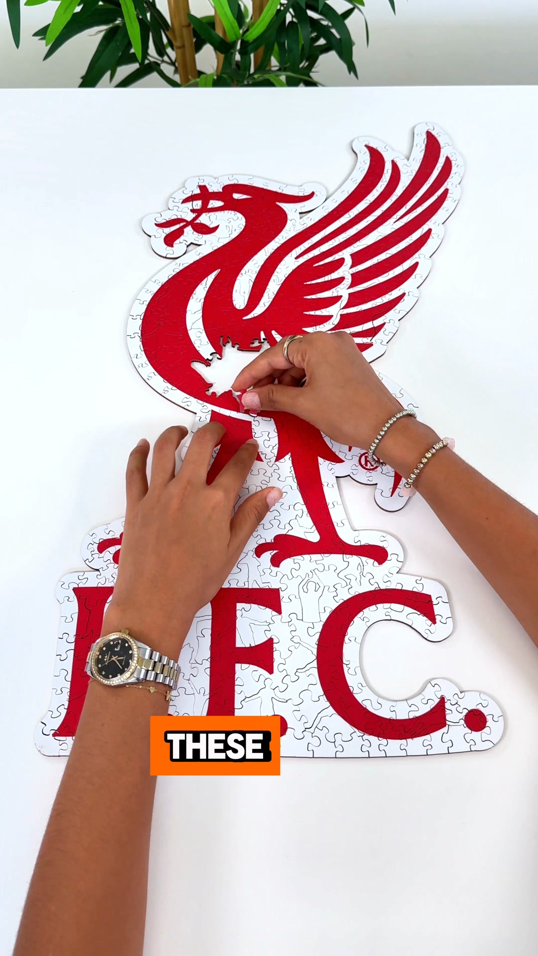 A special gift any fan will love