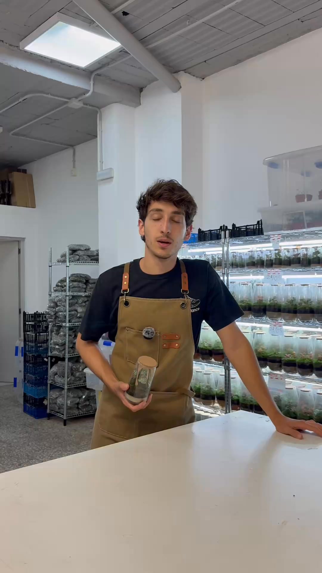 Envío gratis en 48-72 h