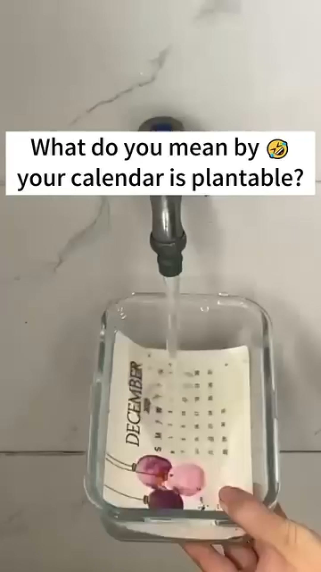 Anúncio de Continuala