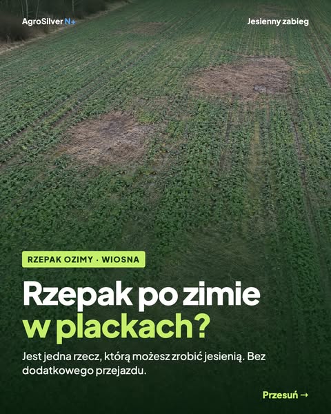 Wapnowanie