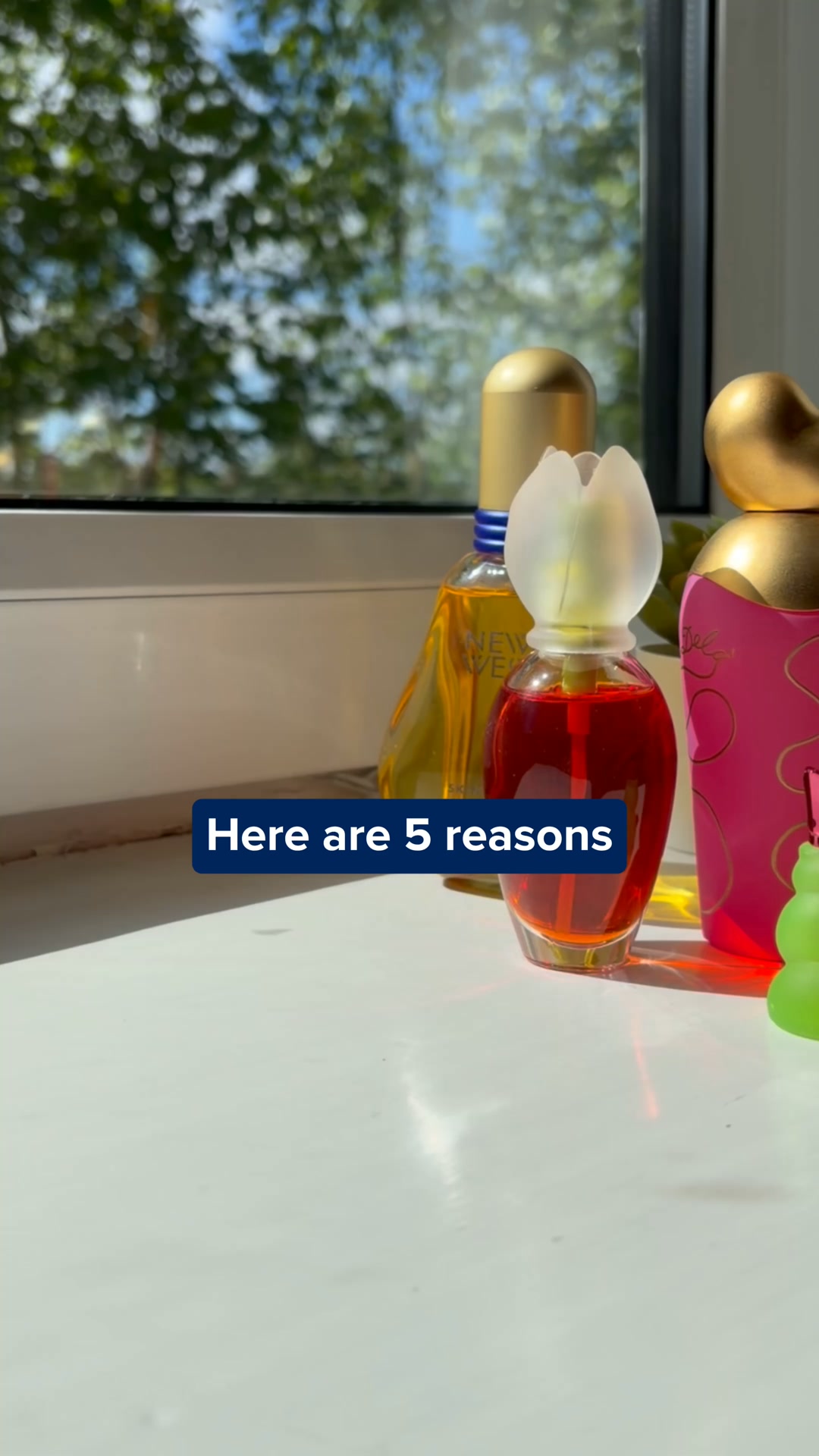 Rediscover Iconic Scents Without the Luxury Price