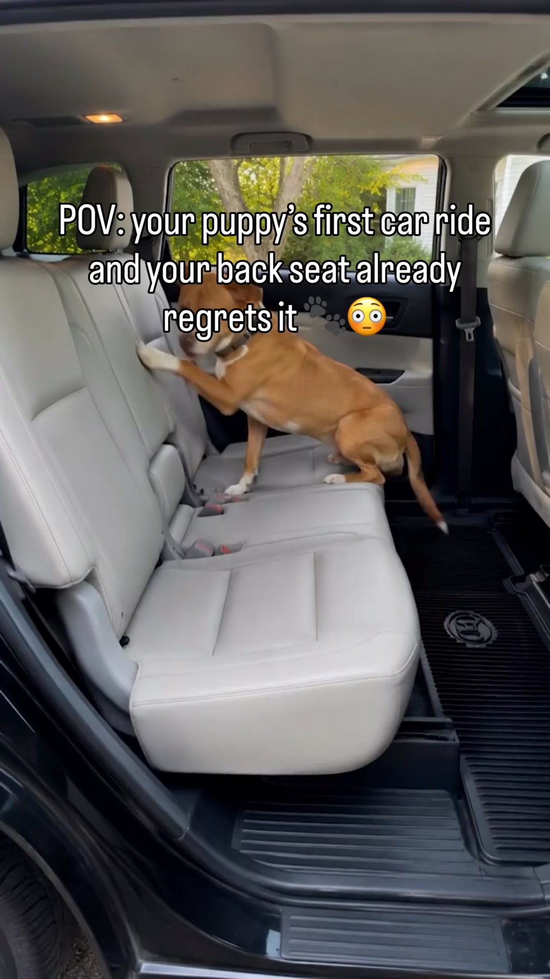 Safe & Comfy Rides in 1 Easy Step