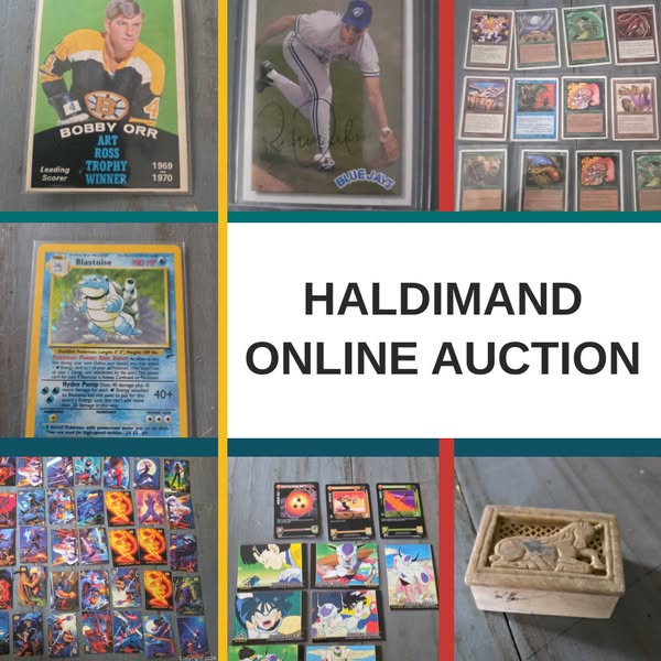 Bid Gallery | Haldimand (Ontario, Canada) SELLER MANAGED Reseller Online Auction - Sandy Bay Road | Maxsold