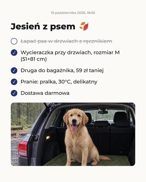 Las, kałuże, pies w aucie. Bagażnik czysty.