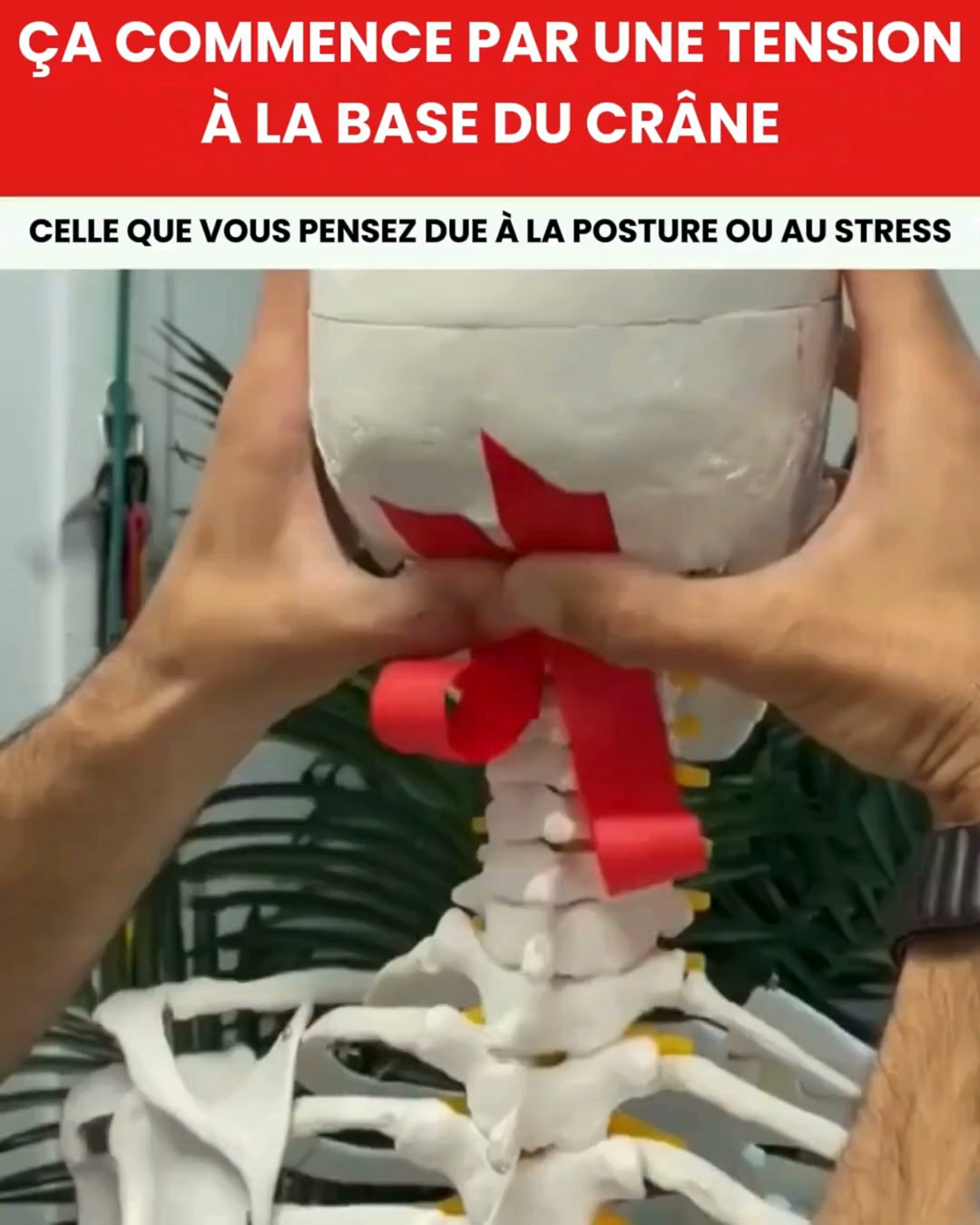 Pourquoi les vertiges, la tachycardie et le reflux commencent souvent au niveau du cou