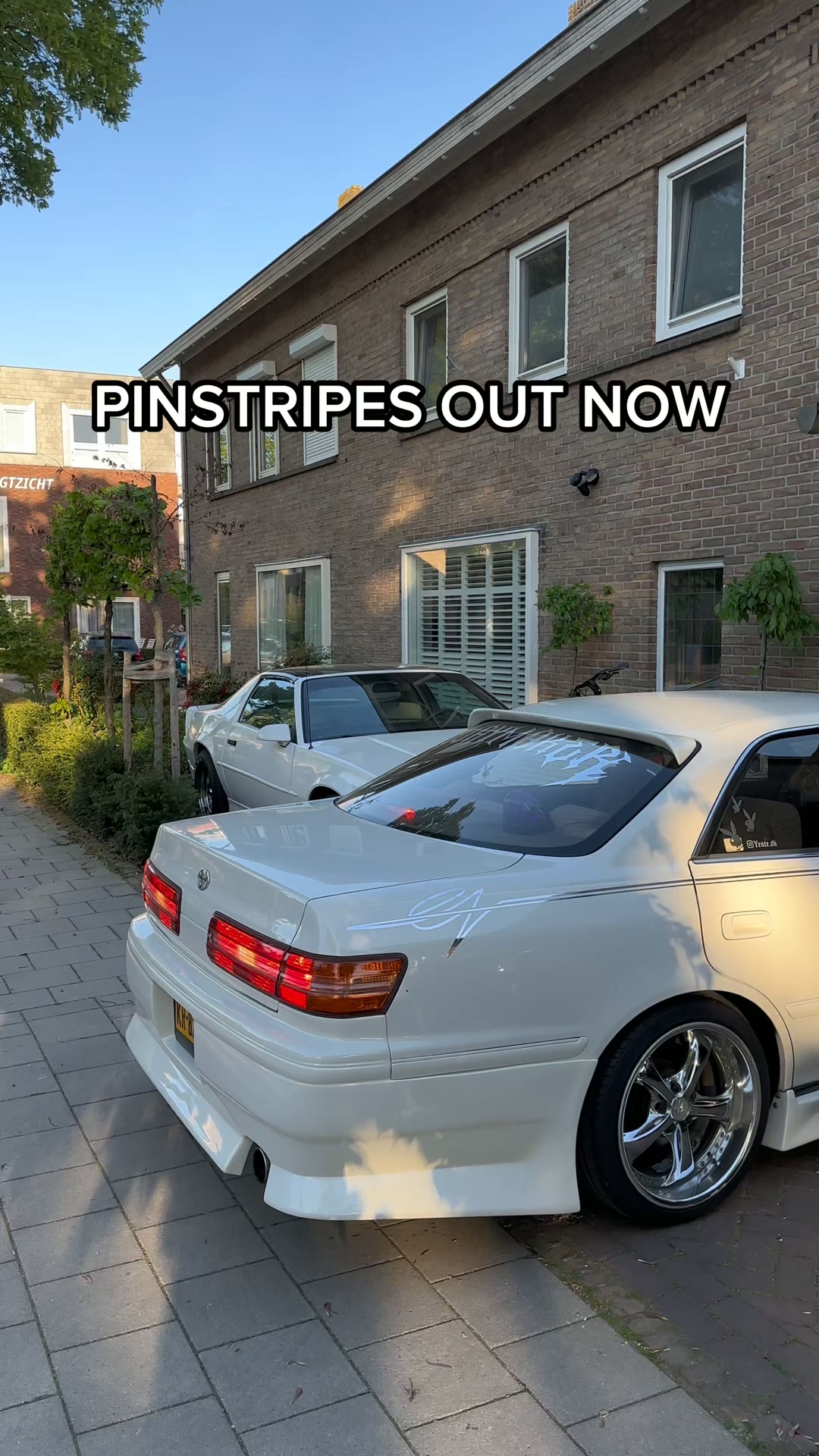Vinyl Pinstripe