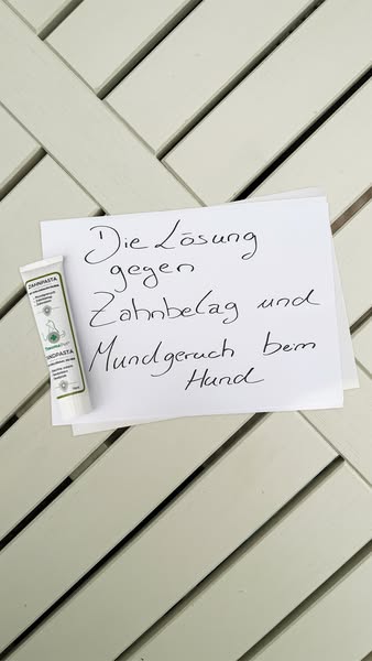 Nur das Beste für deinen Vierbeiner