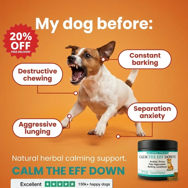 Calm Your Dog NATURALLY