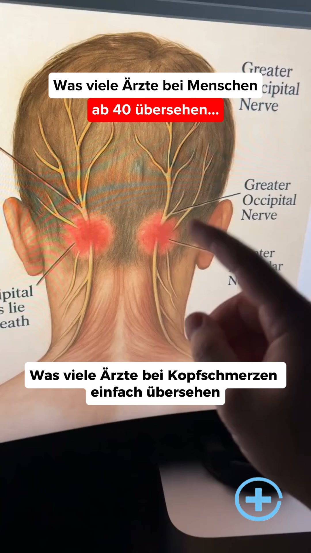 Jetzt risikofrei testen!