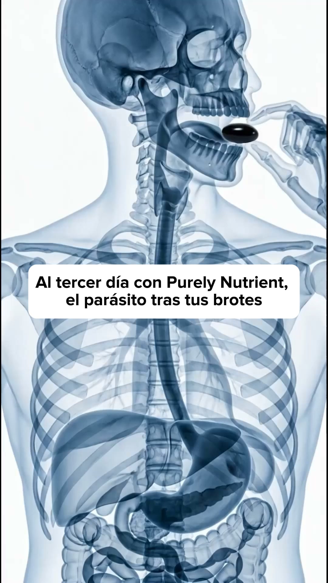 Elaborado con las mejores semillas negras de Etiopía