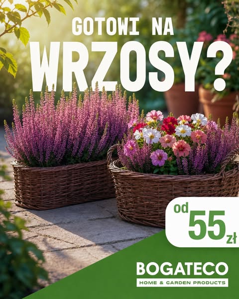 Gotowi na wrzosy?