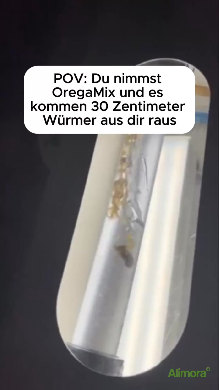 Reinigung von Innen mit Orega Plus