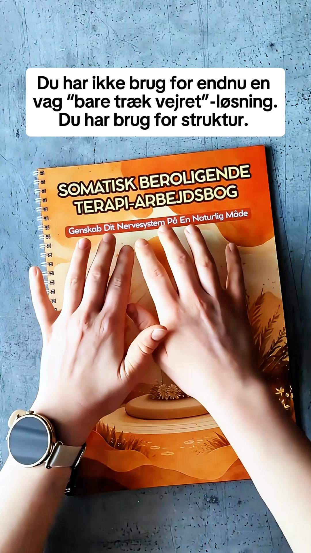Workbook til Somatisk Terapi