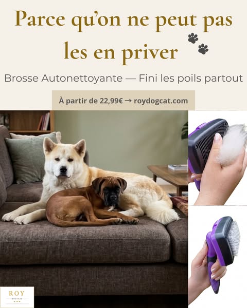 Brosse Autonettoyante — Fini les Poils Partout