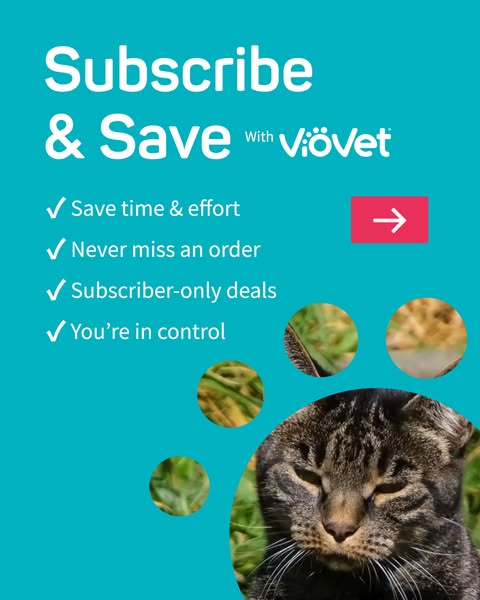 Subscribe & Save Today