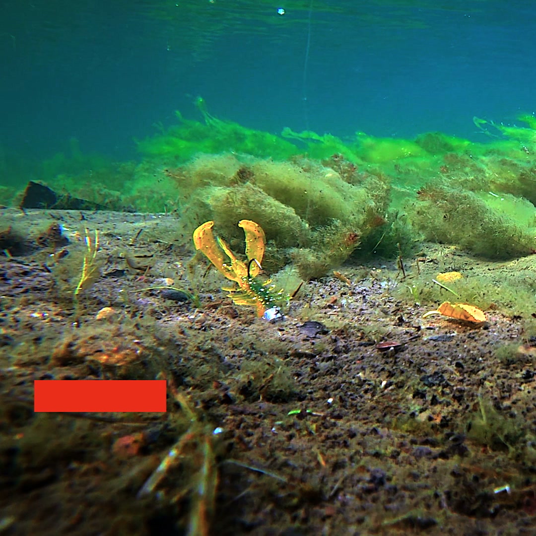 Bästsäljande fiskedrag för abborre