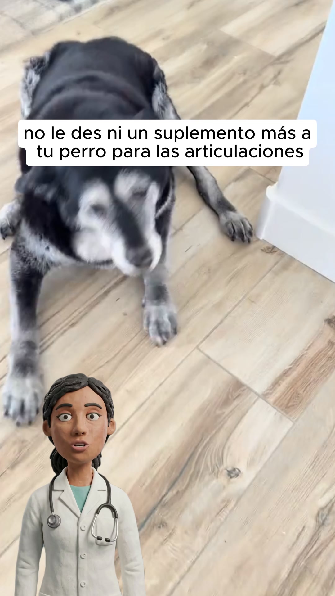 Deja de darle cosas que no le llegan
