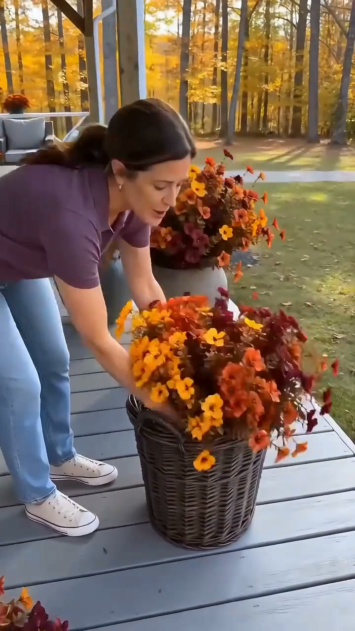 Fiori colorati anche in inverno, senza pensieri!