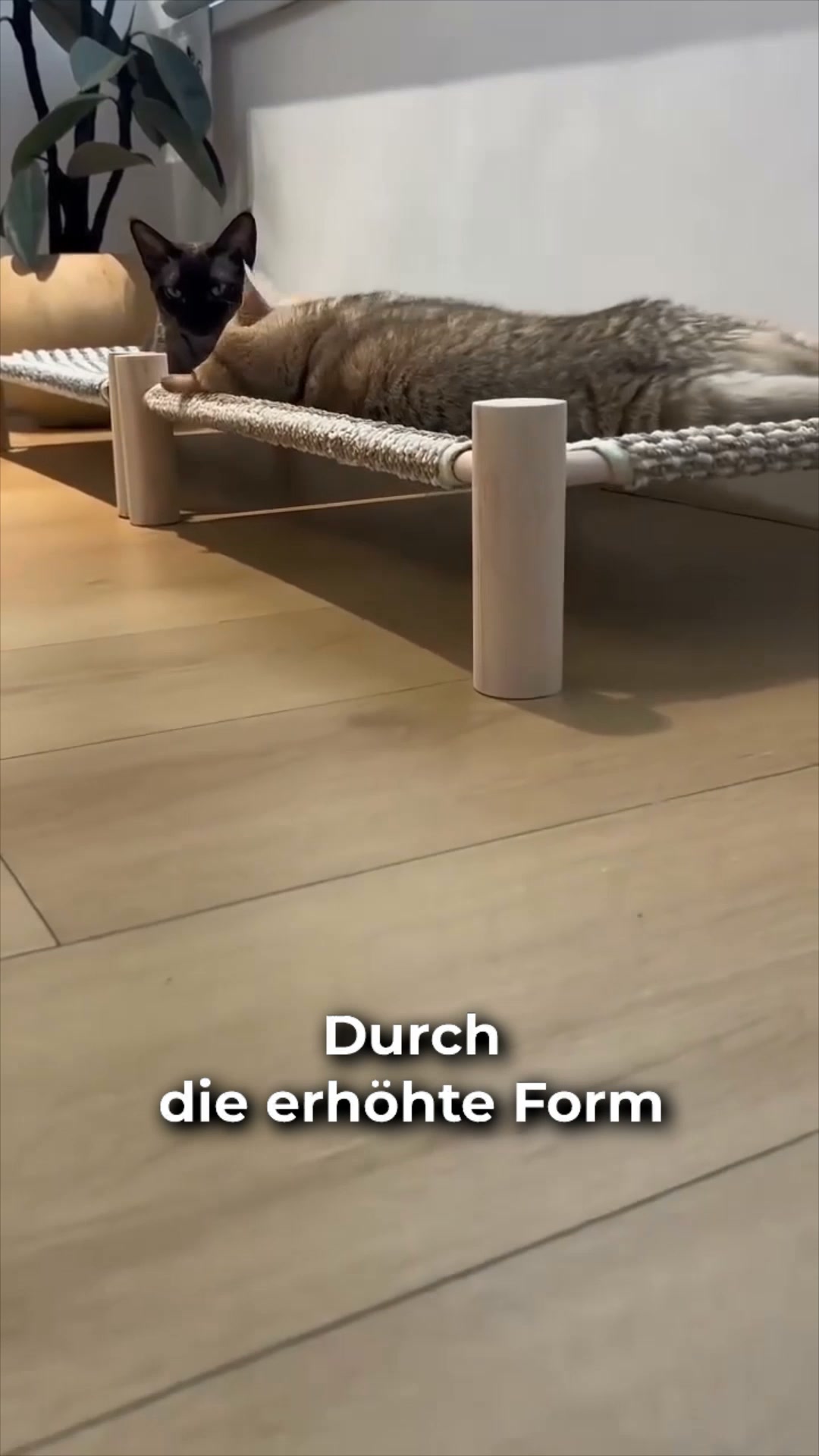 #1 Katzenbett