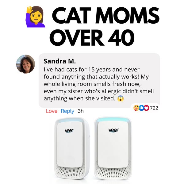 Get Rid of the Cat Pee Smell In Your Home (MUST READ)