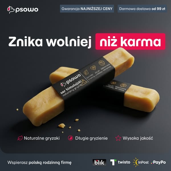 Kup teraz ser himalajski dla psa