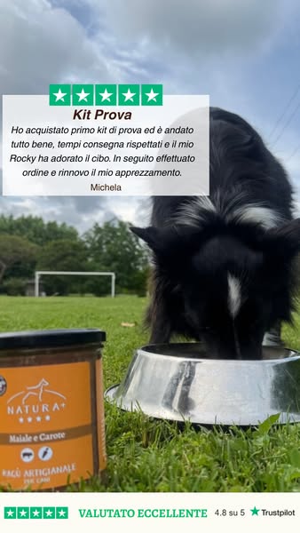Prova il kit. Il tuo cane decide il resto.
