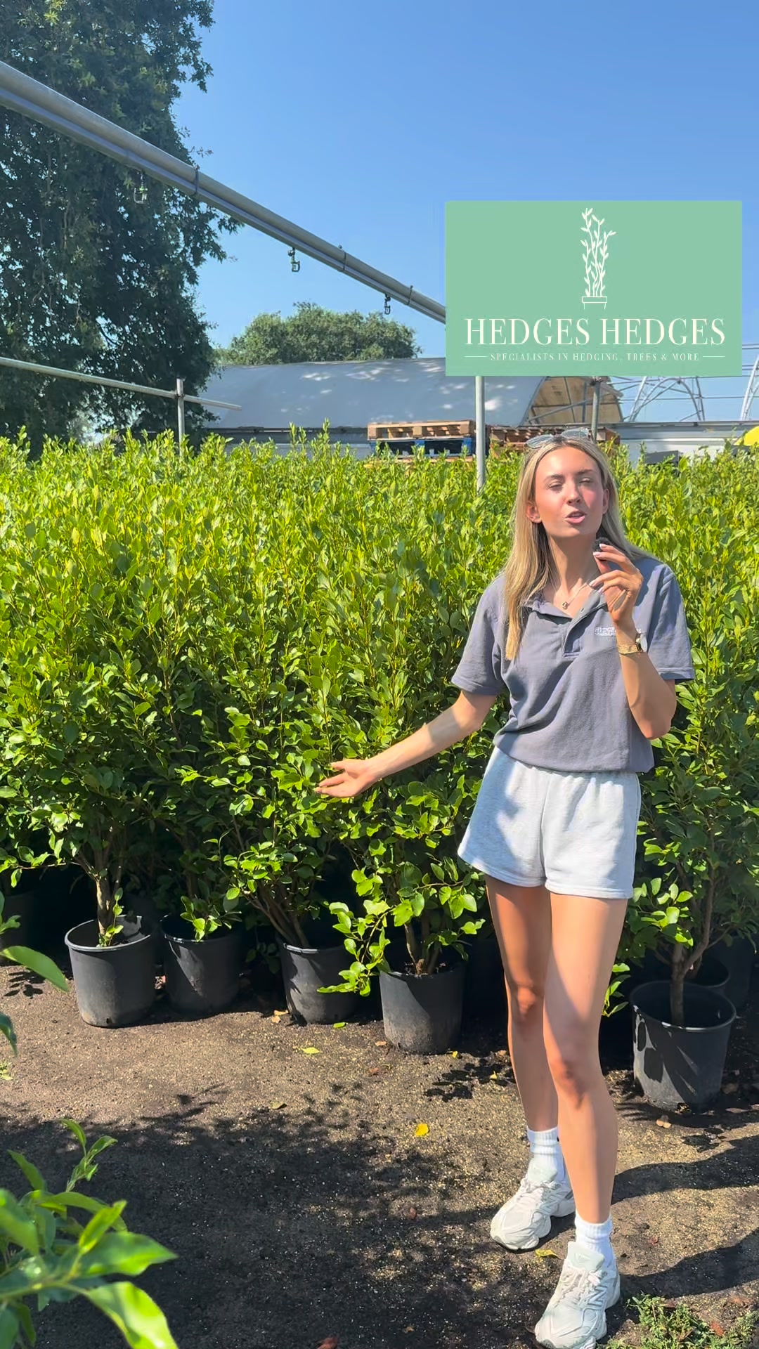 Premium Hedging Delivered Nationwide