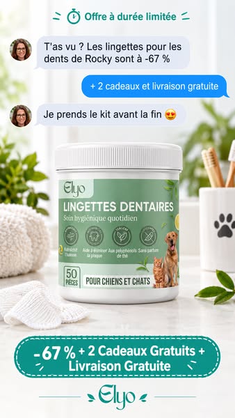 Offrez à votre chien une vie plus saine et plus heureuse