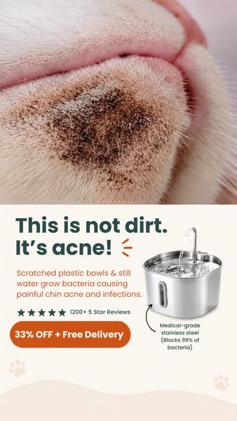 You don't have to just accept those black spots on your cat's chin.