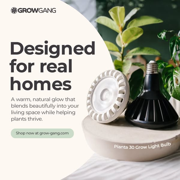 Finally, a grow light that looks good