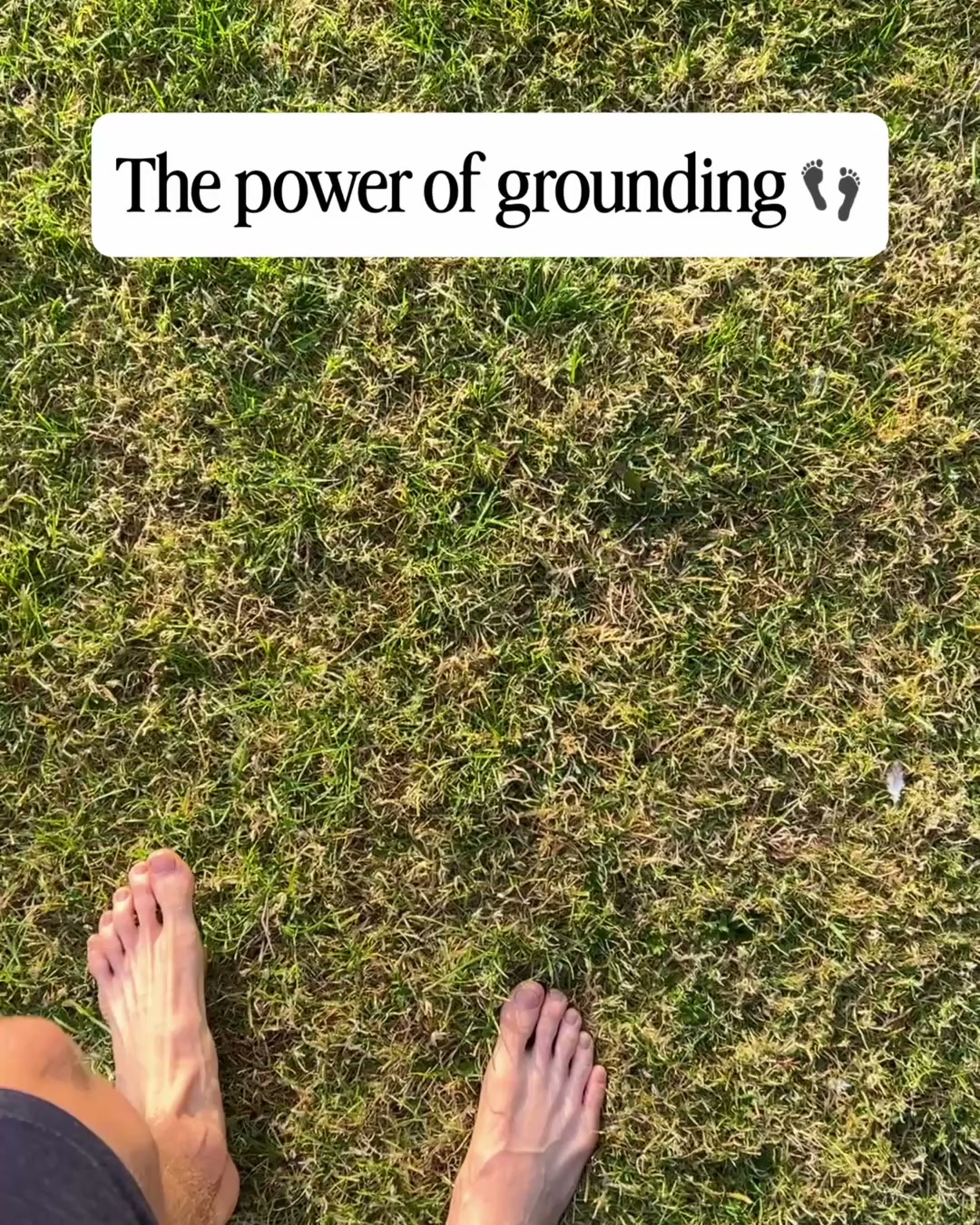 Organic Grounding Sheets